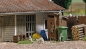 Preview: Busch 7922 Action Set: Waschbären - Bild 1