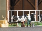 Preview: Busch 7930 Action Set: Besamung - Bild