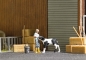Preview: Busch 7932 Action Set: Kälberfütterung - Bild