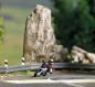 Preview: Busch 7940 Action Set: Kurvenkratzer 1 - Bild 2