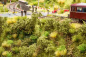 Preview: Noch 23102 Bahndammbewuchs - Bild