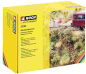 Preview: Noch 23102 Bahndammbewuchs - Bild 3