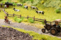 Preview: Noch 60773 Vegetations-Set Am Wegesrand - Bild