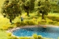 Preview: Noch 60774 Vegetations-Set  Am Ufer - Bild 3