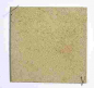 Preview: Noch 60823 Strukturpaste Land & Natur - Bild 2