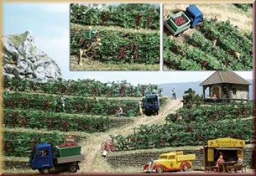 Busch 1200 Weinreben - Bild