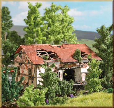 Busch 1664 Verfallener Güterschuppen - Bild 1