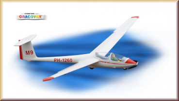 D-Power GL06 Phoenix ASK-21 - 320 cm - E-V - Bild