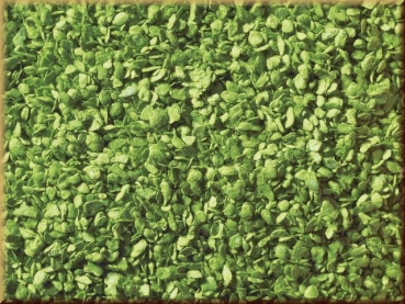 Noch 07152 Laub, hellgrün, 100g - Bild