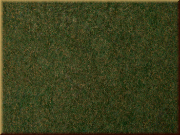 Noch 07281 Wildgras-Foliage - Bild