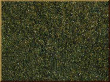 Noch 07292 Wiesen-Foliage - Bild