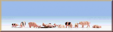 Noch 15712 H0 Schweine - Bild