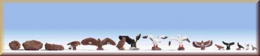 Noch 15775 H0 Vögel - Bild