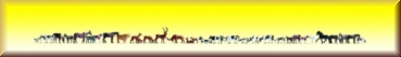 Noch 16048 Mega-Set Tiere - Bild