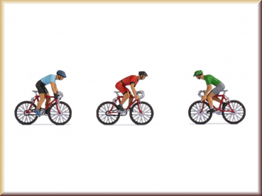 Noch 36897 N Rennradfahrer - Bild