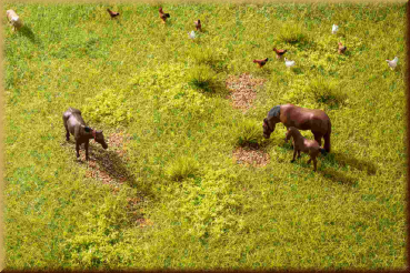 Noch 60771 Vegetations-Set  Wiese - Bild