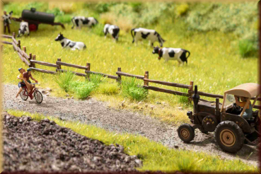 Noch 60773 Vegetations-Set Am Wegesrand - Bild