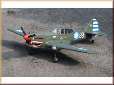 Pichler-extron C8391 Curtis P-40 AVG / 1570 mm - Bild