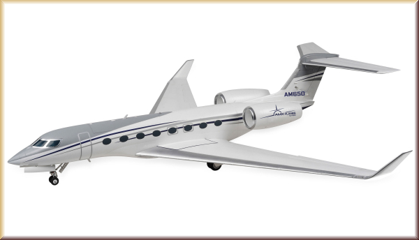 Amewi 24124 AMXPlanes AM650 Business-Jet 1766mm PNP - Bild