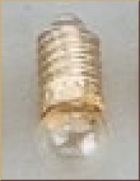 Brawa 3304 Kugelbirne E55 6mm 19V/60mA k - Bild