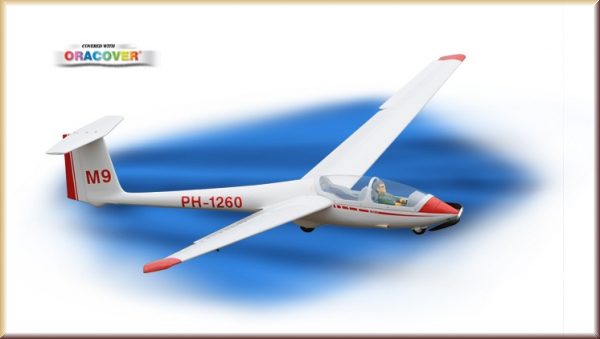 D-Power GL06 Phoenix ASK-21 - 320 cm - E-V - Bild