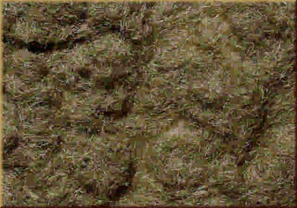 Faller 171624 Streufasern, hellgrün - Bild