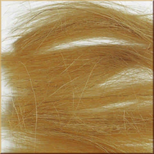 Faller 171632 PR-Gel.-Gras lang er - Bild