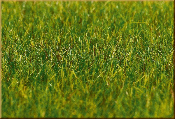 Faller 180485 PREMIUM Streufasern, Gras, du - Bild