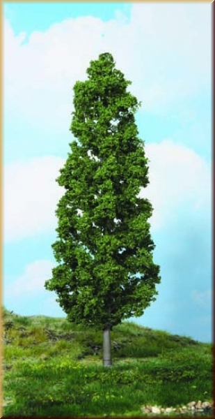Heki 1982 1 Buche 27 cm - Bild