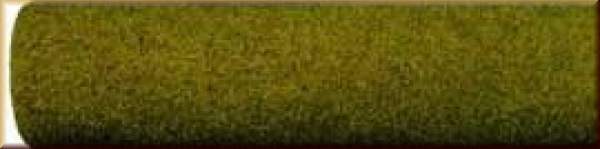 Noch 00280 Grasm. Sommerwiese, 120x60 cm - Bild