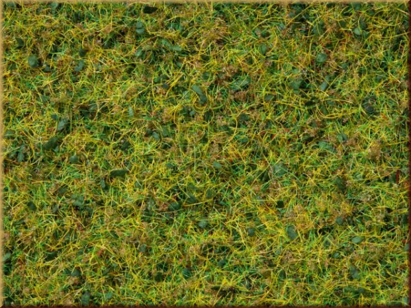 Noch 07077 Master-Grasmischung  Kuhweide - Bild