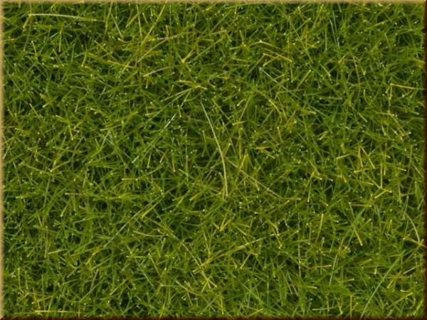 Noch 07097 Wildgras XL - Bild