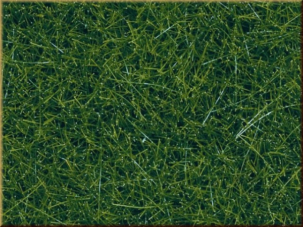 Noch 07099 Wildgras XL - Bild