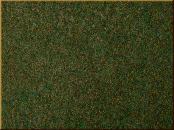 Noch 07281 Wildgras-Foliage - Bild
