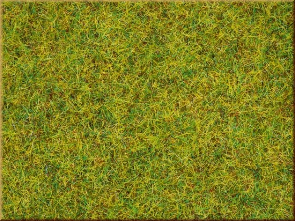 Noch 08151 Streugras Sommerwiese, 2,5 mm - Bild