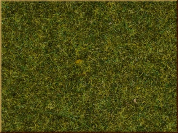 Noch 08152 Streugras Wiese, 2,5 mm - Bild