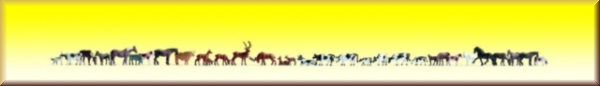 Noch 16048 Mega-Set Tiere - Bild