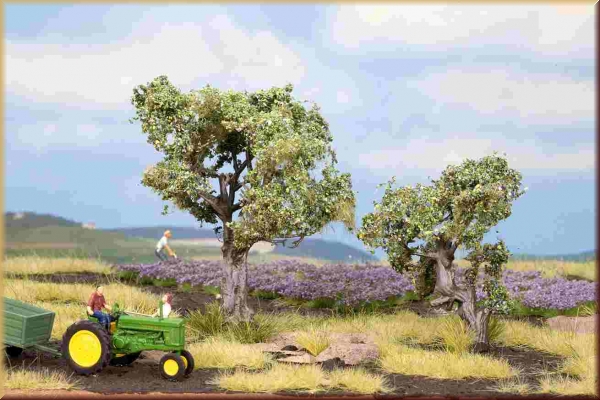 Noch 21995 H0/TT Olivenbäume 2 St. 6+9cm - Bild