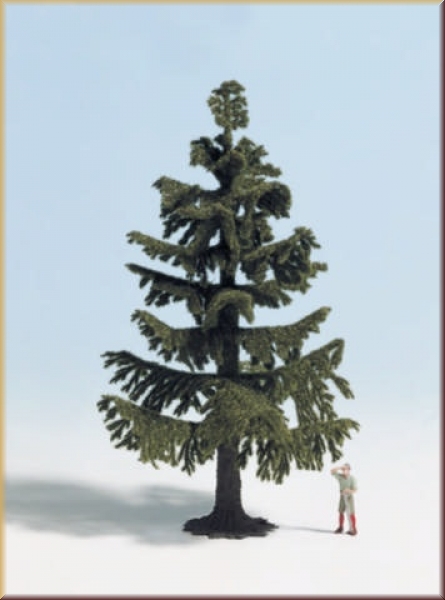 Noch 28210 Nordmanntanne 13 cm - Bild