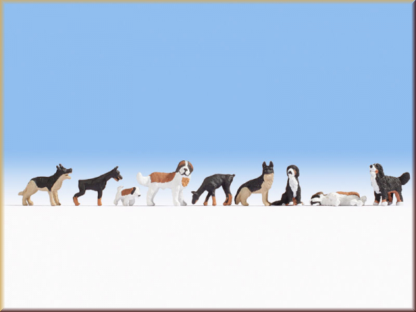 Noch 36717 N Hunde - Bild