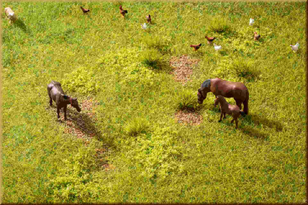 Noch 60771 Vegetations-Set  Wiese - Bild