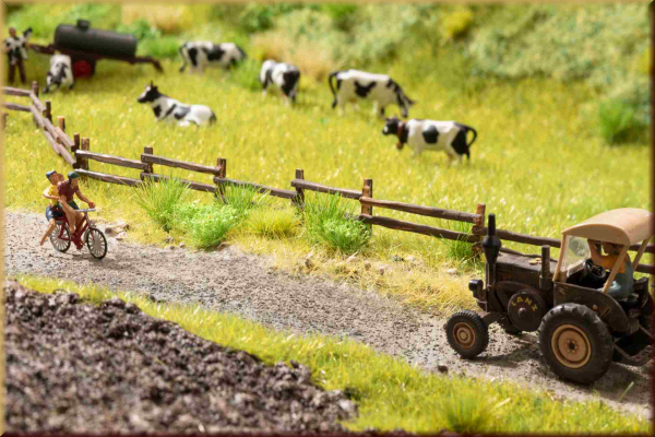 Noch 60773 Vegetations-Set Am Wegesrand - Bild