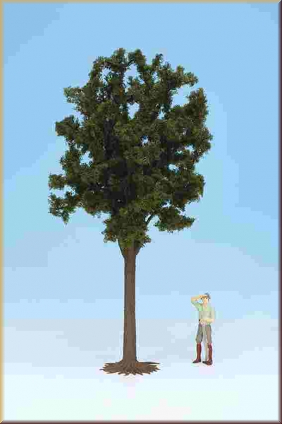Noch 68030 G Laubbaum, ca. 35 cm hoch - Bild