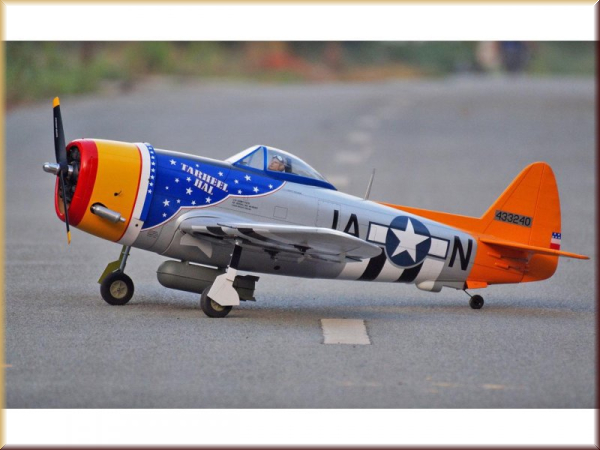 Pichler-extron C5852 P-47D Thunderbolt (Tarheel Ha - Bild