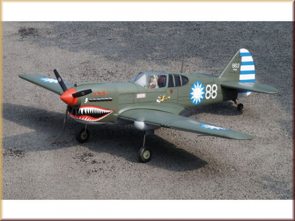 Pichler-extron C8391 Curtis P-40 AVG / 1570 mm - Bild