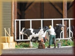 Busch 7930 Action Set: Besamung - Bild