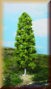 Heki 1985 1 Birke 27 cm - Bild