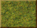 Noch 07077 Master-Grasmischung  Kuhweide - Bild