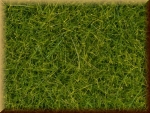 Noch 07097 Wildgras XL - Bild