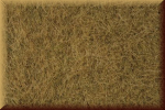 Noch 07101 Wildgras, beige, 6 mm - Bild